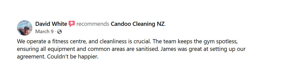 candoo cleaning fb review david