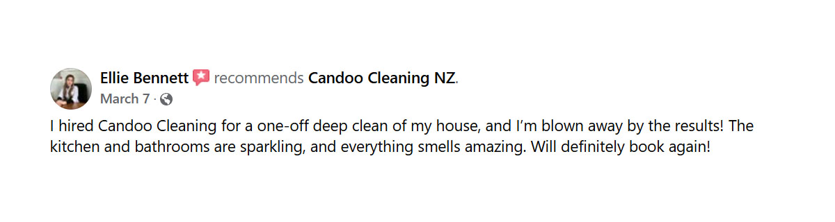 candoo cleaning fb review ellie
