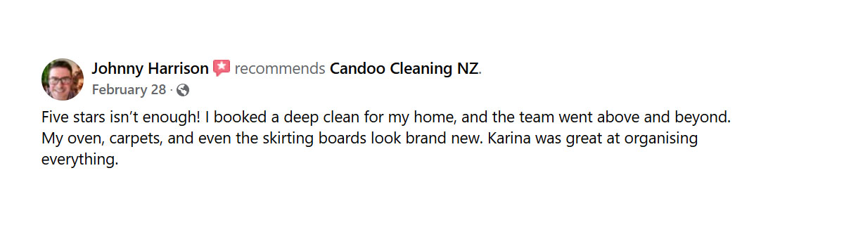 candoo cleaning fb review johnny