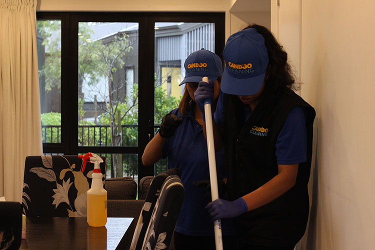 Deep Cleans:  “We Found a Sandwich Fossil in the Couch”